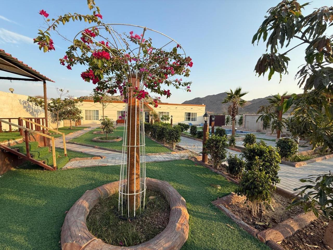 פוג'יירה 800 Mountain Resort Vacation House מראה חיצוני תמונה